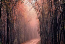 大众|"明星造梦人口"_-死里逃生!国足惊_时事新闻_大众网.