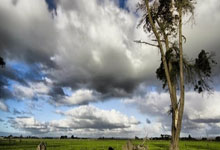 悟空体育官网:足总杯-菲利克斯梅开二度 切尔西5-0莫克姆晋级.