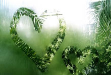 悟空体育官网:澳波谈萨尔进球被吹:VAR扼杀了比赛,但我们得接受并承担后果.