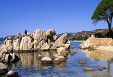 悟空体育官网:WCBA:未来可期 高速赤水河酒女篮不负众望完成目标.